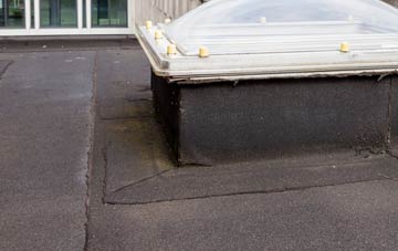 disadvantages of Noneley flat roofs