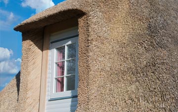 Noneley thatch roof disadvantages